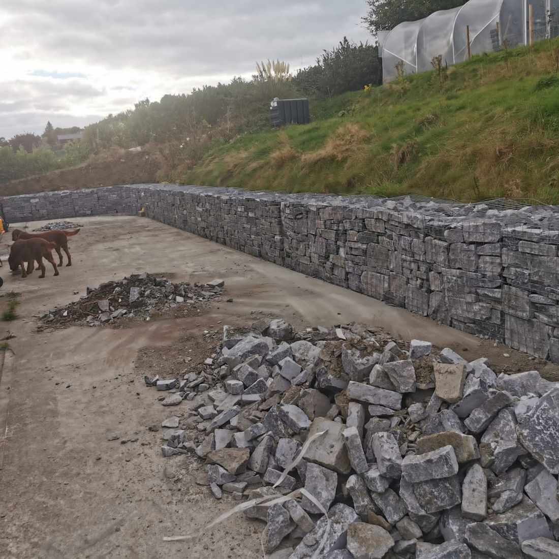 Random white limestone gabions 