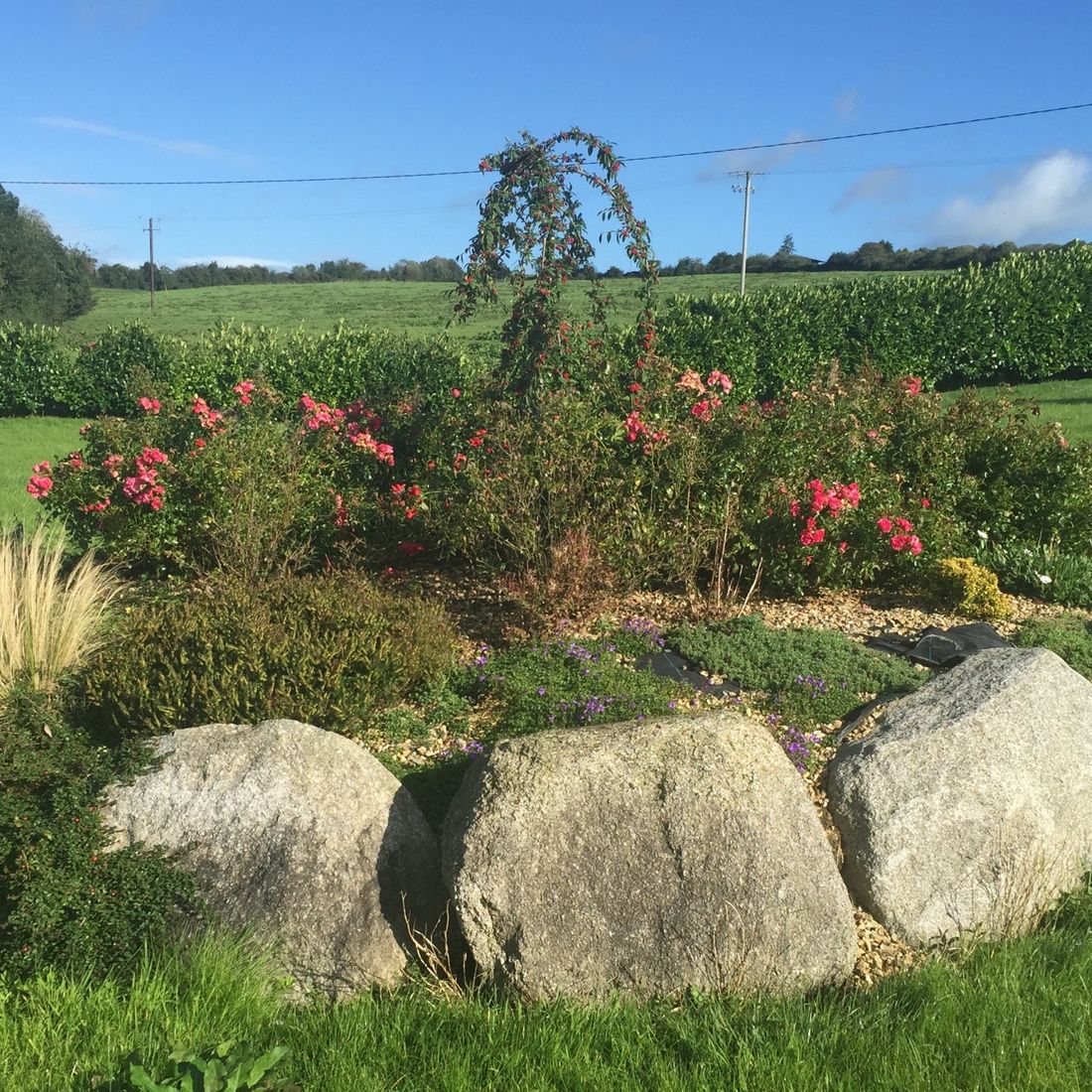 Garden feature-large granite boulders