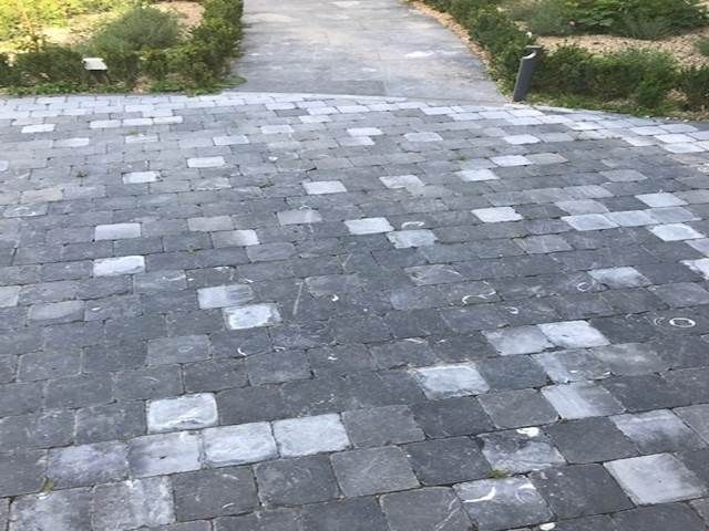 Kilkenny limestone cobble featuring some natural fossil